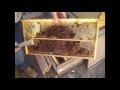 Cleaning up Dead Hives