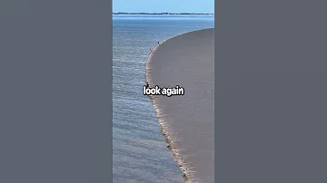 The Waves 
