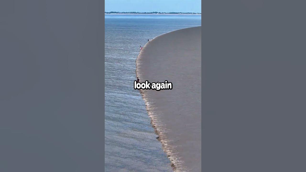 The waves