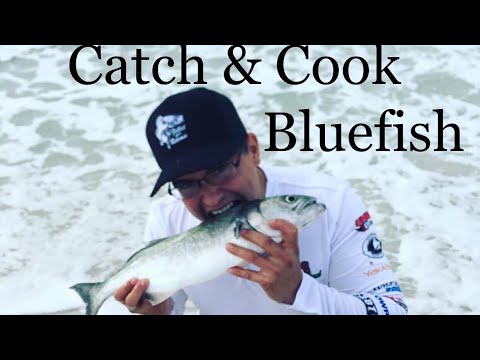 Catch and Cook Bluefish