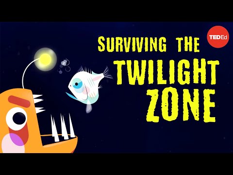 Could you survive the real Twilight Zone? - Philip Renaud and Kenneth Kostel