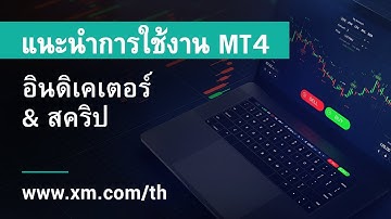 XM.COM - แนะนำการใช้งาน MT4 - อินดิเคเตอร์ & สคริป
