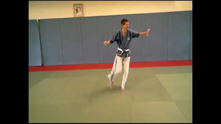 Christian Jongbloed   Kata Yoseikan  Tanto no kata