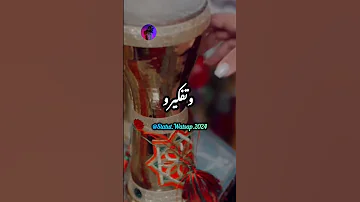 الديفو فيك نتايا احسان الركراكي 