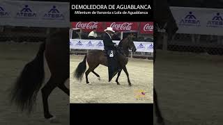 DEMOLEDORA DE AGUABLANCA TROTE Y GALOPE #troteygalope #horse #shortsvideo #caballos