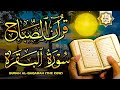 قرآن الصباح سورة البقرة لحفظ وتحصين المنزل وجلب البركة تلاوة مريحة بأعلى جودة 