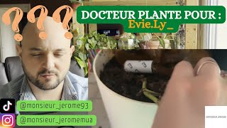 Docteur Plante 1 - Pour Evie.Ly_
