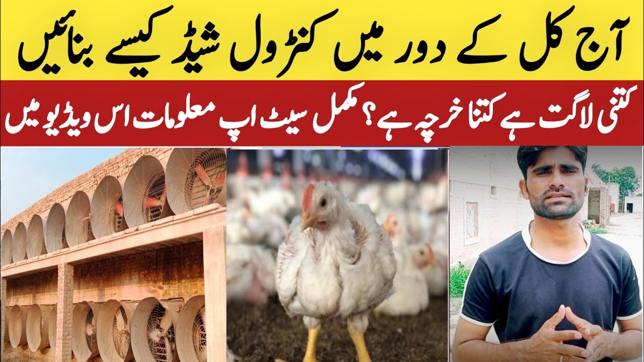 Control Shed Setup All Machineries And Prices 2022 How to start