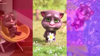 Mèo Tom Dancing Tiktok Talking Tom Talking Tom Dancing Cute Baby Tom Tiktok