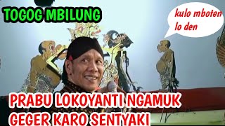 PRABU LOKOYANTI NGAMUK GEGERAN KARO SENTYAKI ‼️ki seno nugroho