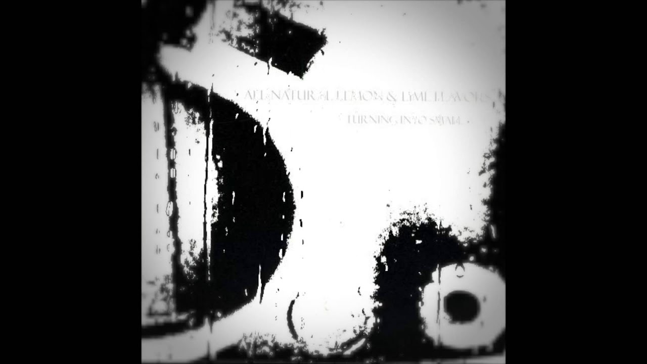 Guarda All Natural Lemon & Lime Flavors - When Things Come Falling su YouTube Guarda All Natural Lemon & Lime Flavors - When Things Come Falling su YouTube