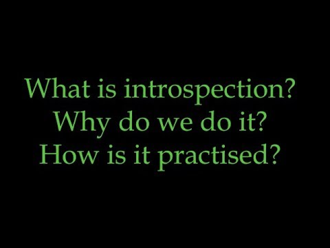 What is Introspection?