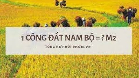 1 pia da bằng bao nhiêu m2