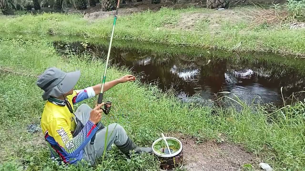 𝗔𝘀𝗶𝗸𝗻𝘆𝗮 𝗺𝗮𝗻𝗰𝗶𝗻𝗴 𝗯𝗮𝘂𝗻𝗴 𝘁𝘂𝗻𝗴𝗴𝗶𝗸 𝘄𝗮𝗹𝗮𝘂𝗽𝘂𝗻 𝗸𝗲𝗰𝗶𝗹 𝘀𝗲𝗱𝗮𝗽 𝗷𝘂𝗴𝗮