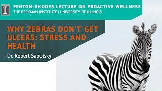 'Why Zebras Don't Get Ulcers: Stress and Health' by Dr. Robert Sapolsky (Short)