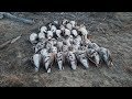 Быт охотников. Охота на гуся в Якутии 3 часть! Yakutia