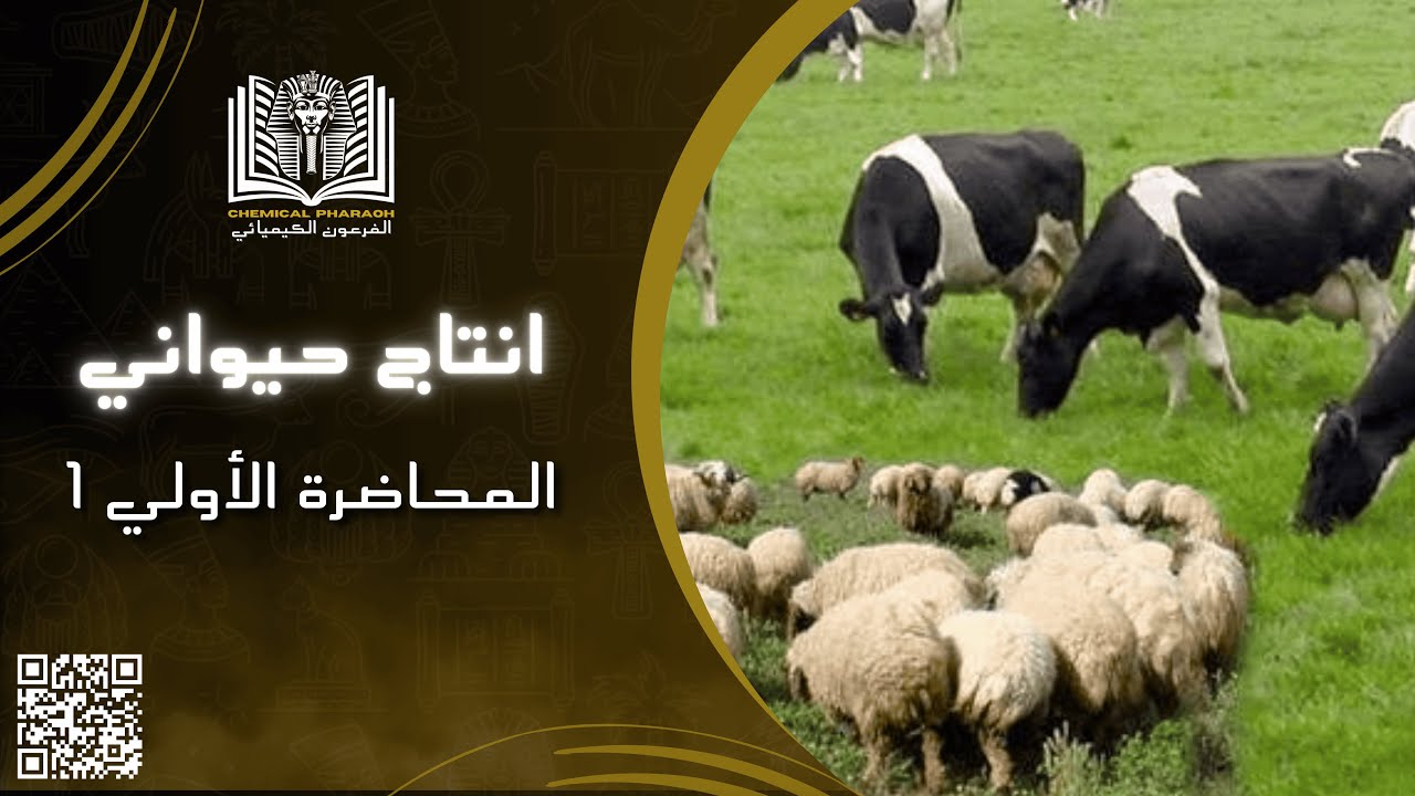 (انتاج حيواني - الفرقة الأولي) المحاضره الأولى 1