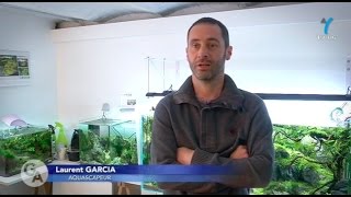 Aquascaping Reportage Dyvelines Première - Laurent Garcia Aquarilis