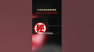 NINJA OMEGA SEC  |  如何快速检测XSS漏洞，用这款工具只要有手就行 #黑客 #网络安全 #渗透测试