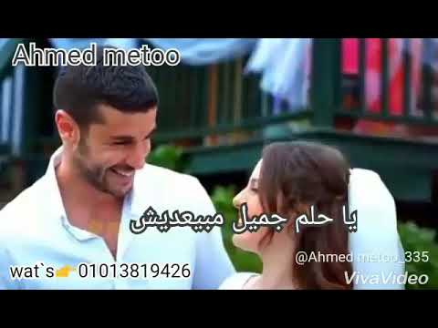 يا نسمه شوق حماقي حاله واتس