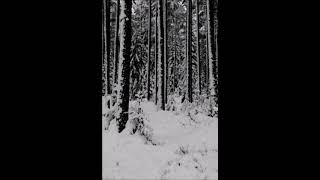 Svardun - Glacial Magic (2018) (Winter Synth)