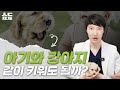 애개육아  l  강아지, 고양이 키워도 돼요❓🐶  [아토피,천식] 알레르기 걱정 끝