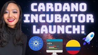 Cardano Incubator Launching Soon from Colombia!