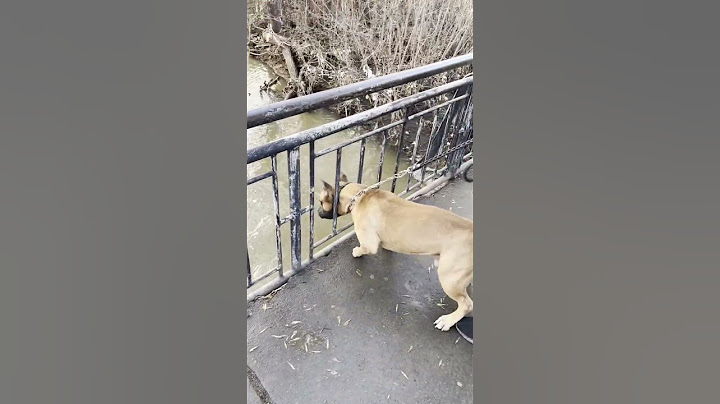 Когда уже нет сил терпеть)