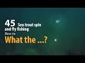 How to • Sea trout - Spin and fly fishing • What the... ! • fishing tips