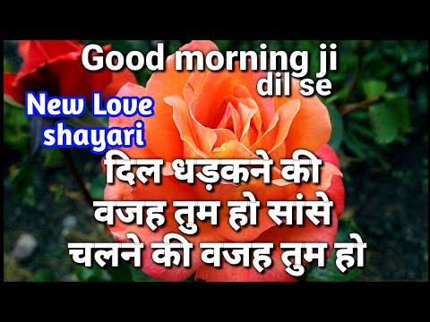 Good Morning Wallpaper | Good Morning Photo | Good Morning Love Shayari