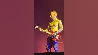 Zacky is very hot 🔥🤘 #avengedsevenfold #zackyvengeance #concert #synystergates #a7x  #chicago