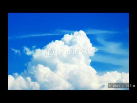 雨中的唯一