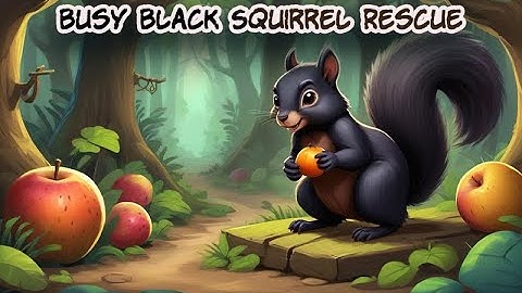 G4K Busy Black Squirrel Rescue Game Walkthrough