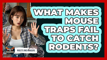 What Makes Mouse Traps Fail To Catch Rodents? - Insects and Invaders