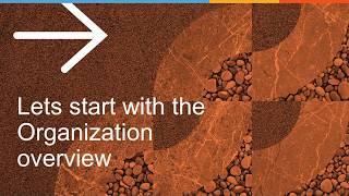 SteelConnect Basic Concepts : Org screenshot 5