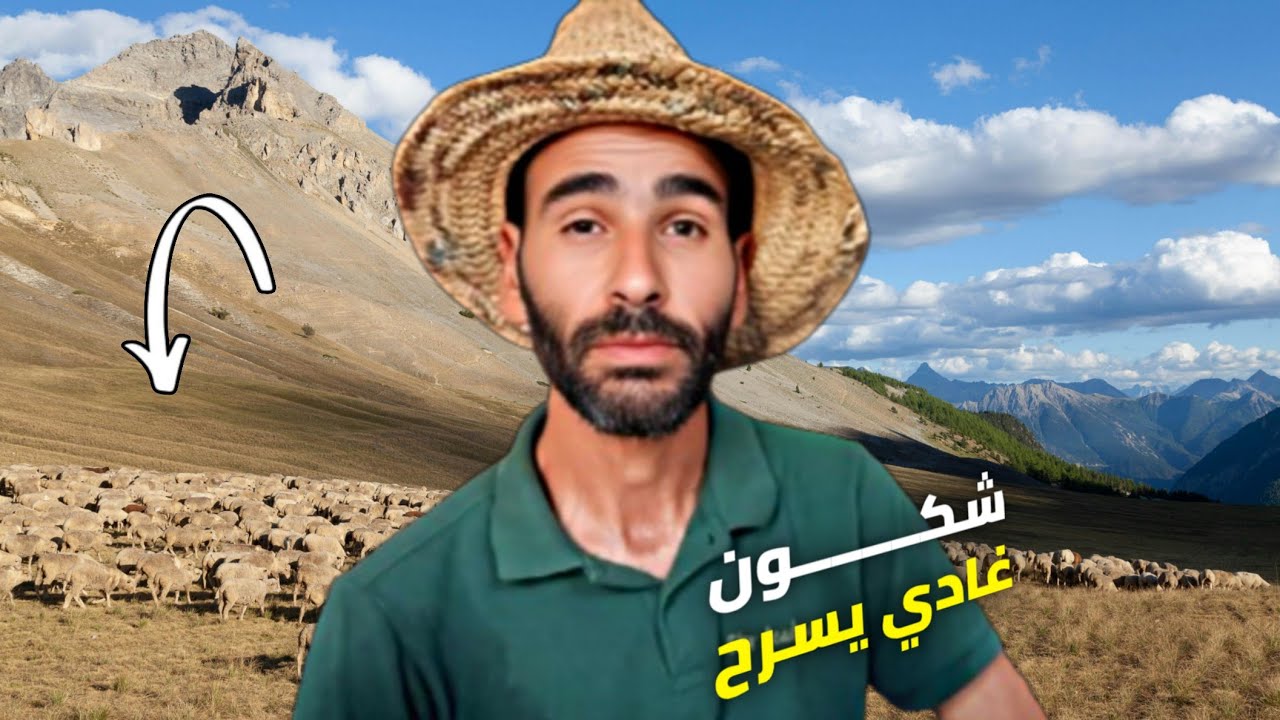 بغيت ندير مشروع تربية الأغنام 🐏  ولكن شكون غادي يسرحهم لي،!؟🤔