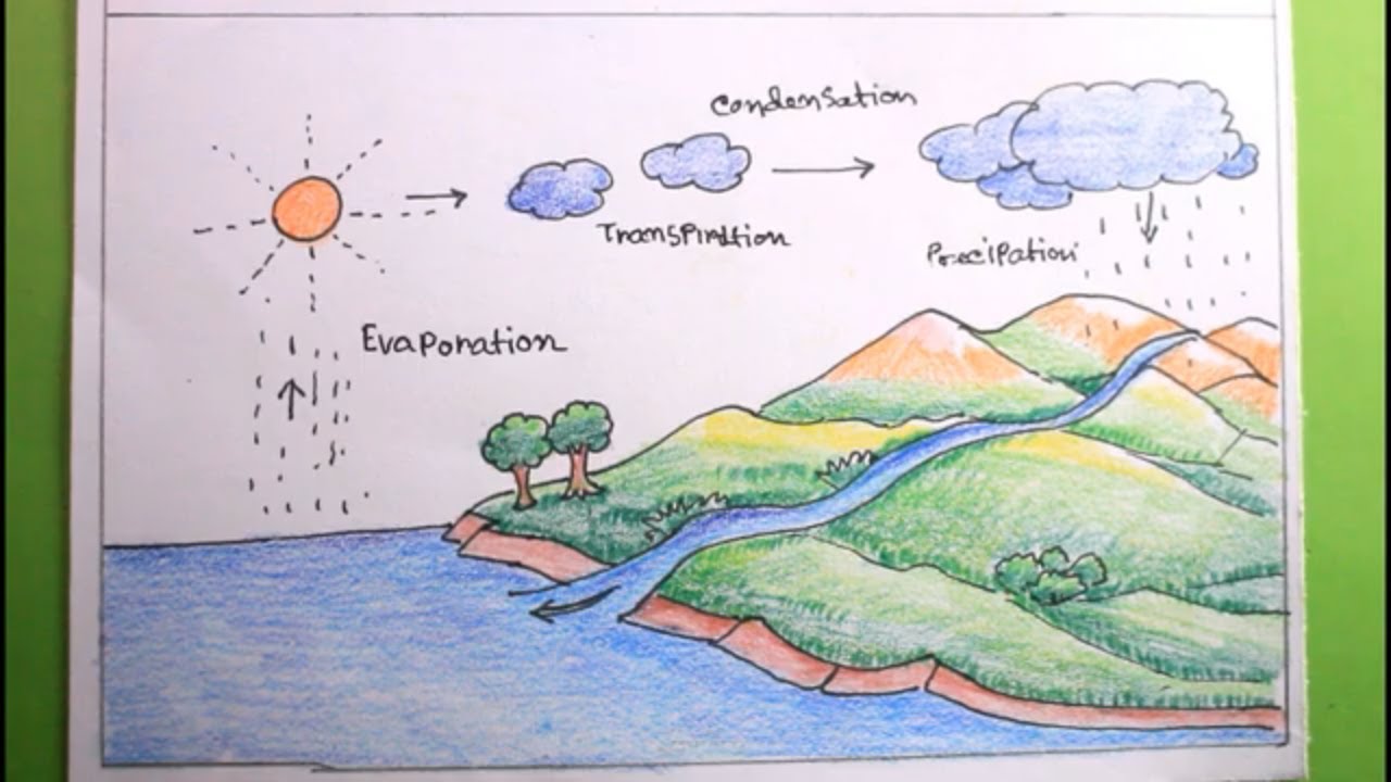 Eco Time Eden: Grade 3 Water Cycle