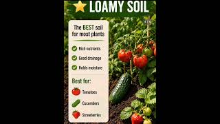 Soil Guide - The secret to healthy plants. #algorithm #planthealth #planttips #soiltypes