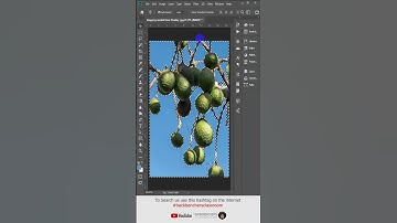 Remove Background Colour by Colour Range | How to make a Background transparent in Photoshop CC