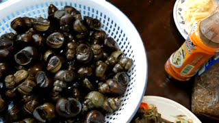 Karenni Cooking Ep 1 River Snails