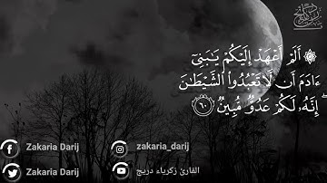 آيات من سورة يس | القارئ زكرياء دريج | أنصت بقلبك | تلاوة خاشعة