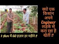 आखिर क्यों एक किसान अपने Engineer लड़के से करा रहा है खेती | 1 Acre Successful Farmer || Hello Kisaan