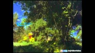 Nee Oru Kodi Malar HD Song