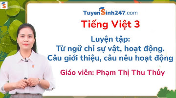 Luyện tập: Từ ngữ chỉ sự vật, hoạt động - Tiếng Việt 3 (KNTTVCS) - Cô Phạm Thị Thu Thủy