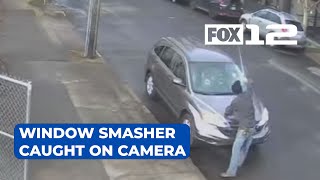 Caught on Camera: Window-smashing spree with golf club shakes up North Portland neighborhood