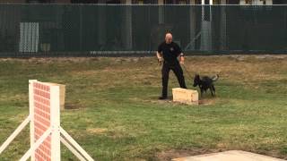 April 2015 - Officer Jake Nelson & K-9 Bronson K-9 Graduation