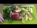 Making a Fresh Healthy Juicemaster Smoothie