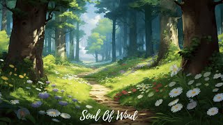 Soothing Meditation Music to Calm the Mind and Rewire Your Brain for Peace. by Soul Of Wind 364 views 2 weeks ago 3 hours