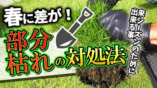 芝生部分枯れの対処法春の為に秋にできること