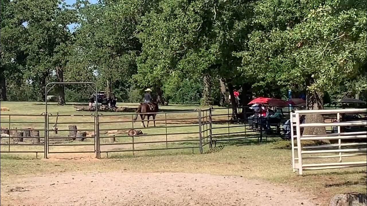 wee-willy-whiz-2022-aqha-vrh-world-champion-rookie-ranch-trail-run